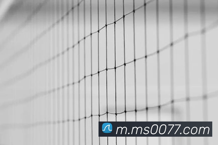 M88明升体育APP 高清赛事图